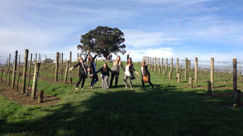 Join Around Waiheke Tours for a great value morning or afternoon tour exploring the spectacular coastal scenery and award winning wineries synonymous with this unique destination.